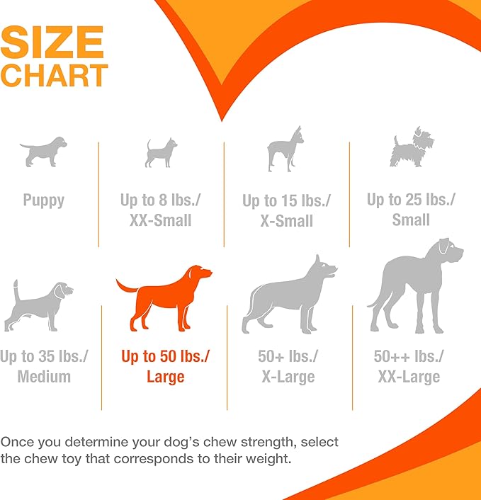Nylabone Barbell Bone Power Chew Toy for Dogs, Dog Toys for Aggressive Chewers, Peanut Butter Flavor, Large - Up to 50 lbs, 1 Count