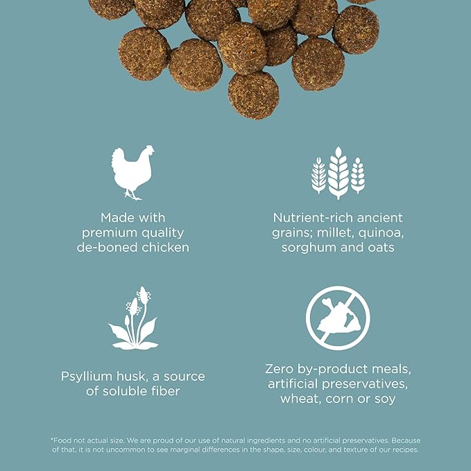 Go! Solutions Digestion + Gut Health Chicken Dry Dog Food, Premium-Quality Kibble for Gastrointestinal & Digestive Wellness, Supports Sensitive Stomachs, for Puppies, Adults & Seniors, 12 lb Bag