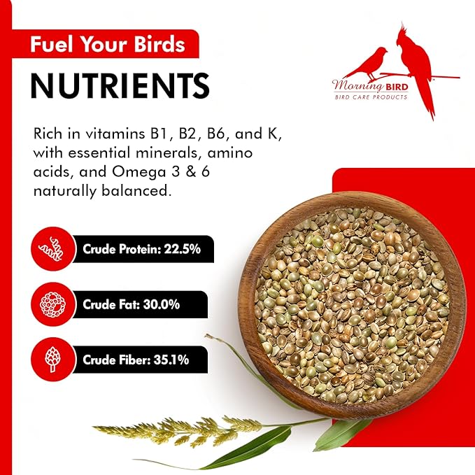 Morning Bird Hemp Seeds 1.5 lbs – Natural Superfood Seed – High in Natural Protein, Healthy Fats, Omega 3 and 6 Fatty Acids, Delicious Natural Flavor, Supports Feather Growth & Overall Health