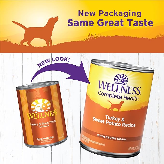 Wellness Complete Health Pate Adult Canned Wet Dog Food, Wholesome Grains, Natural, Turkey and Sweet Potato, 12.5 oz, Pack of 12 Cans