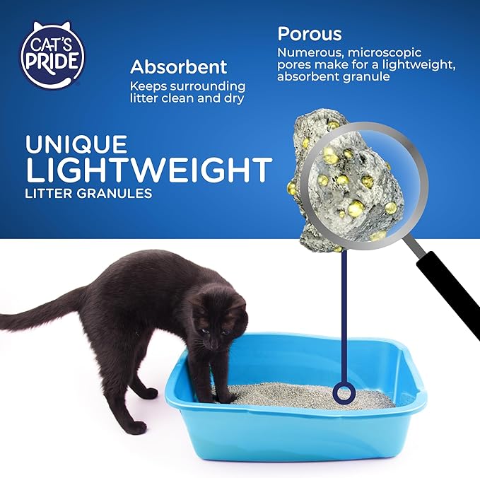 Cat's Pride NEW Antibacterial Cat Litter: Destroys 99.9% of Odor-Causing Bacteria - Powerful Odor Control - Premium Lightweight Clumping Litter - Scented, 12 Pounds