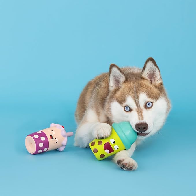 Fringe Studio Dog Toy Set, Best-Teas, 2Pc Mini, Latex, Pet Shop Collection (368012)