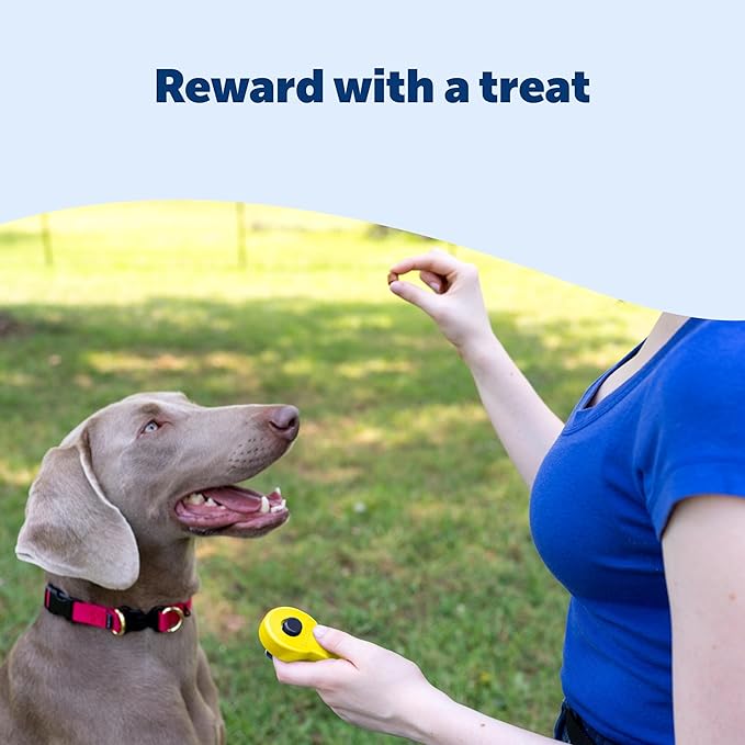 PetSafe Clik-R Training Tool Clicker Trainer for Dogs - Positive Reinforcement Dog Training Marker - All Stages of Life Ergonomic Design Clear Click Sound