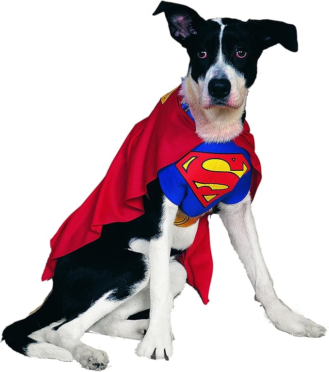 DC Comics Superheroes: Superman Pet Costume for For Dogs or Cats by Rubies, XL