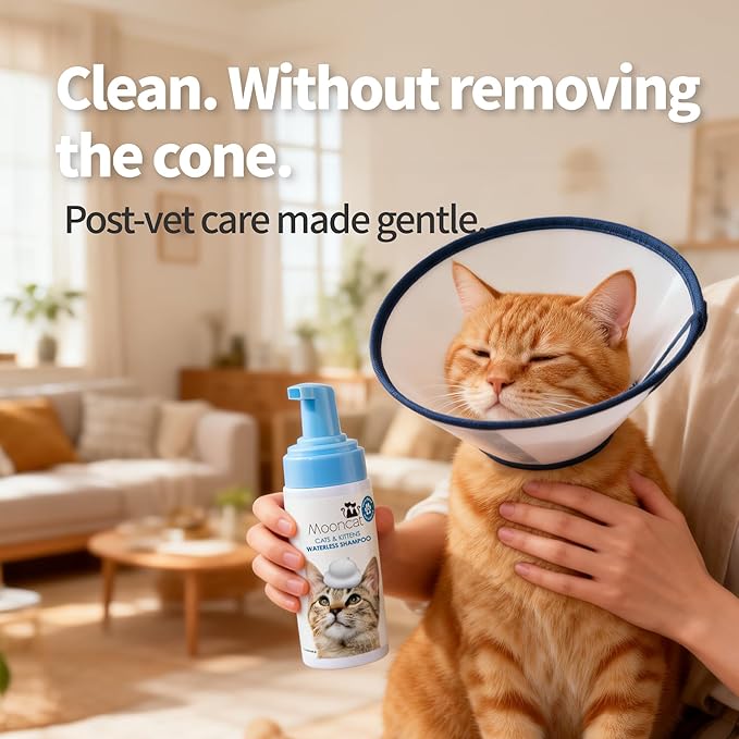 Mooncat Waterless Cat Shampoo + 2-in-1 Cat Bath Brush Set, No Rinse Dry Foam Bath for Short Hair Cats & Kittens, SGS-Tested Lick-Safe, Veterinarian Approved & pH-Balanced, Brush, 5 oz