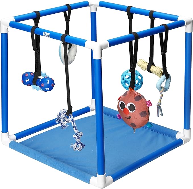 Race&Herd Puppy Play Gym, Dog Play Mat, 8 Bungee Straps Interactive Puppy Active Toys - Small Dog Jungle Gym 19.5" Frame with Playground Set Indoor Enrichment Activity Center (Blue)