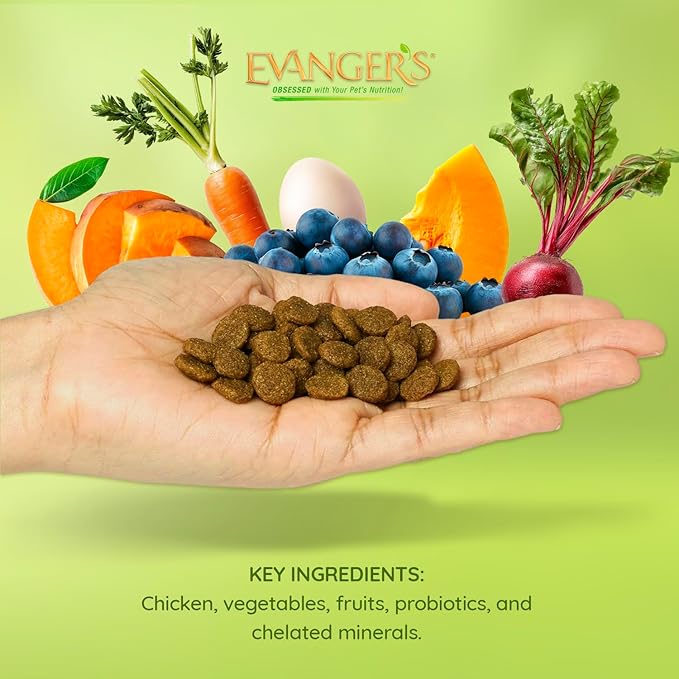 Evanger's Grain Free Chicken with Sweet Potato & Pumpkin Dry Food for Dogs – 4.4 lb – Fresh Deboned Chicken, Probiotics, Omegas 3 & 6, Grain-Free, All Life Stages