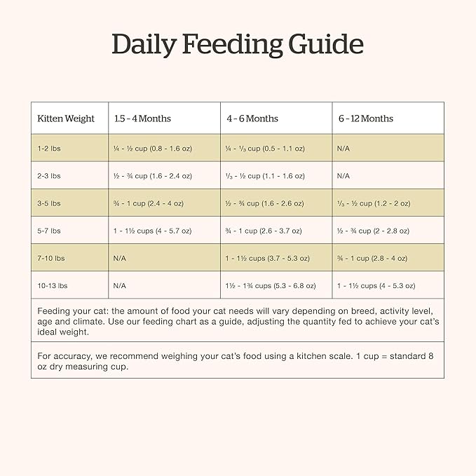 Now Fresh Kitten Dry Cat Food, Turkey, Salmon & Duck Recipe, Grain-Free, Chicken-Free, 3 lbs
