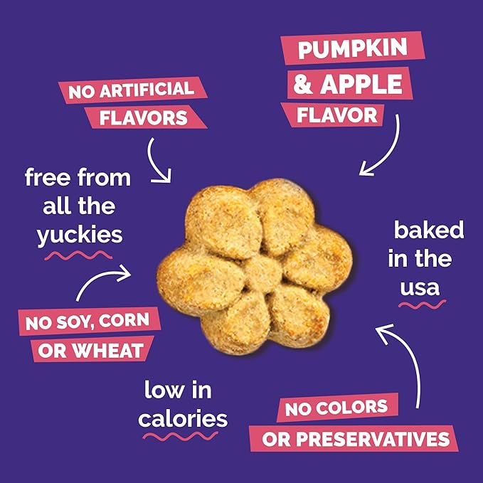 Fruitables Baked Crunchy Pumpkin Dog Treats, 7oz, Variety Pack of 10