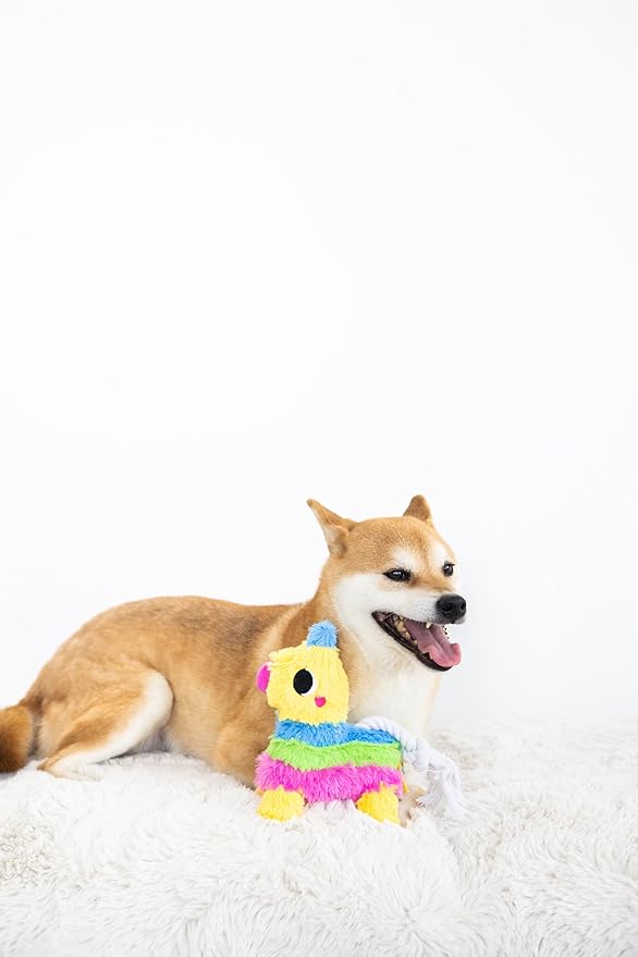Pearhead Puppy Piñata Dog Toy, Cinco de Mayo Dog Toy with Rope Tug and Crinkle Plush, Interactive Chew Toy for Dogs, Everyday Play Gift