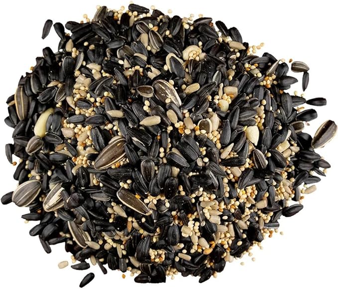 Bird Pro Classic Bird Seed (18 Pounds, Backyard Blend)