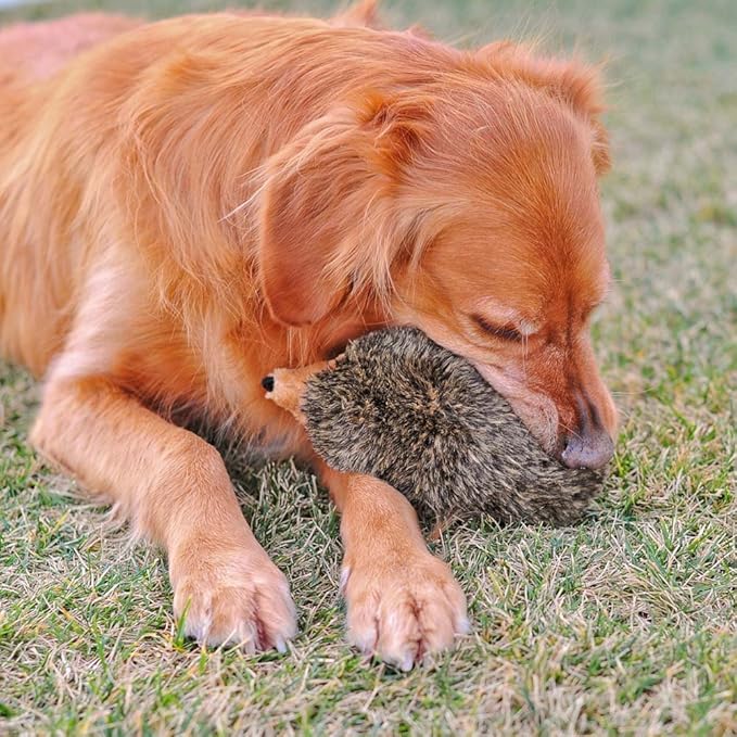 Zippy Paws Hedgehog, Large