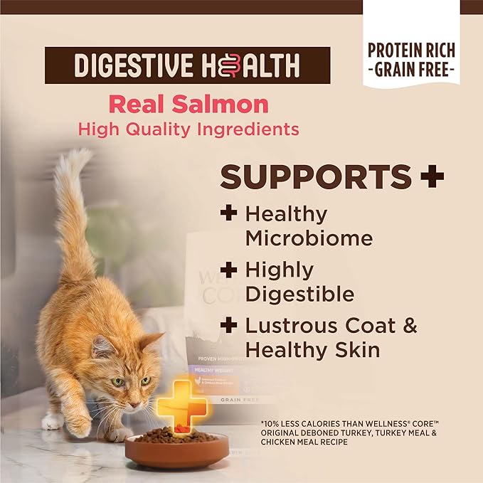 Wellness CORE+ Digestive Health Adult Dry Cat Food, Natural, Wholesome Grains Kibble, Salmon and Rice Recipe, 11 lb Bag