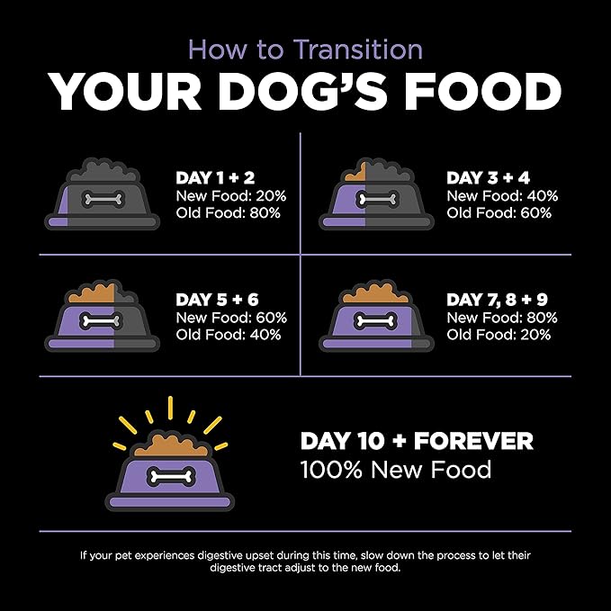 Go! Solutions Carnivore Chicken, Turkey + Duck Grain-Free Dry Senior Dog Food, Our Highest-Protein Kibble Made with Real Meat & Fish, Pumpkin & Probiotics for Good Digestion, 22 lb Bag