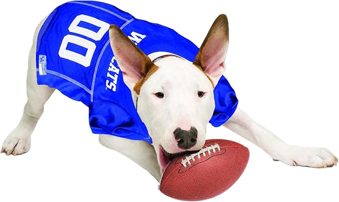 Pets First NCAA College Kentucky Wildcats Mesh Jersey for DOGS & CATS, Small.Licensed Dog Jersey with your Favorite Football/Basketball College Team