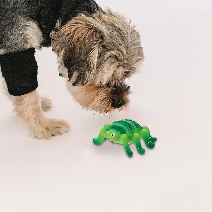 Abaodam Squeaky Pet Chew Toy for Dogs and Cats Small Durable Latex Puppy Teething Plaything Spider and Ladybug Design Interactive Fun
