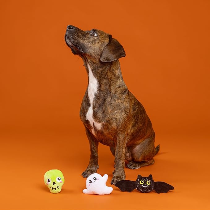 Fringe Studio Pet Toy, Boo YAH! Plush Dog Toy 3 PCS Set, PetShop Collection (662191)