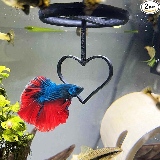 Floating Heart Betta Training Ring, Heart Active Betta Training Ring, Floating Feeder, Enrichment Toys for Aquarium Decor, Pink, 3.8in x 3.7in (Black, Single)