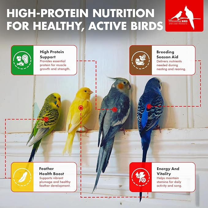 Morning Bird Eggfood 1.5 lbs – Protein-Rich Soft Food Food for Birds - High in Protein - Vitamins & Minerals – Supports Growth, Digestion & Feather Health – Ideal for Breeding Birds