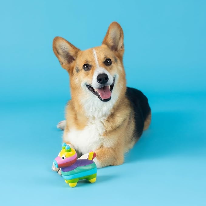 Fringe Studio Dog Toy, Life's A Paw-Ty, Latex, Pet Shop Collection (366012)