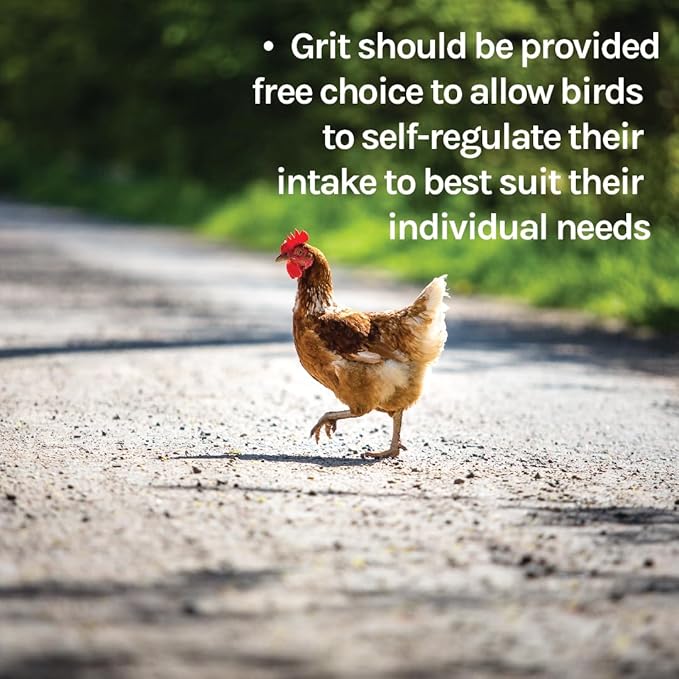 New Country Organics | Flock Perfect Starter Grit for Chicks to Help aid in Digestion | 8 lbs