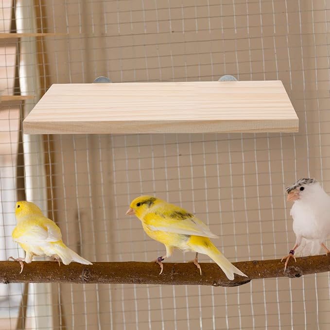 Wood Perch Stand Platform for Parrot and Small Pets, Rectangular Bird Cage Accessory, Natural Wood Exercise for Hamster, Chinchilla, Squirrel,
