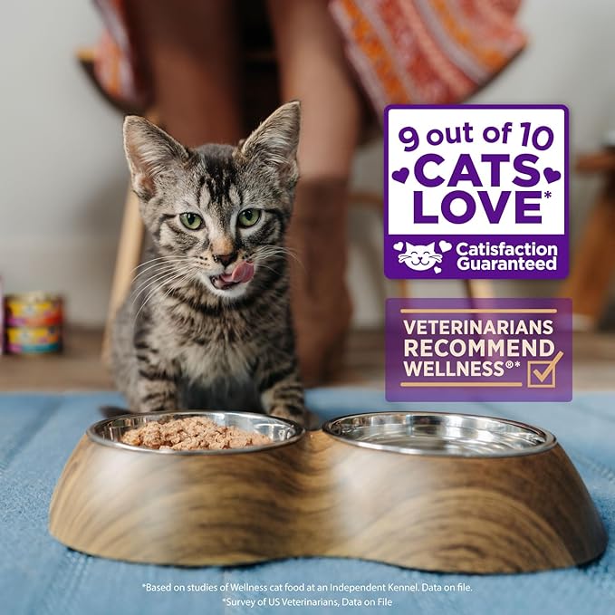 Wellness Healthy Indulgence Morsels Adult Wet Cat Food, Natural, Protein Rich, Grain Free, Chicken and Salmon Recipe, 3 oz, Pack of 24 Pouches