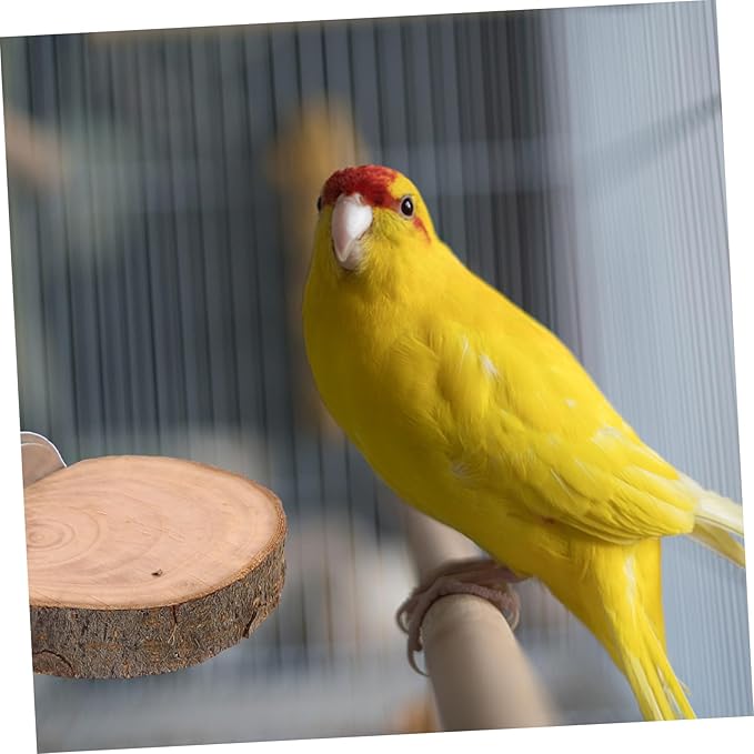 Sosoport 3pcs Bird Cage Ladder Parrot Playground Wooden Platform Toys for Hamster Cage