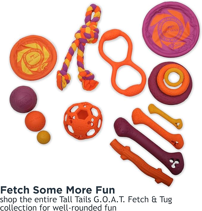 Tall Tails G.O.A.T. Greatest of All Toys Sport Fetch Ring Toy for Dogs, Small