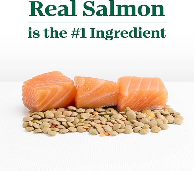 Nutro Limited Ingredient Diet Dry Dog Food, Adult Dog Food Dry Salmon & Lentils Recipe, 22 lbs.