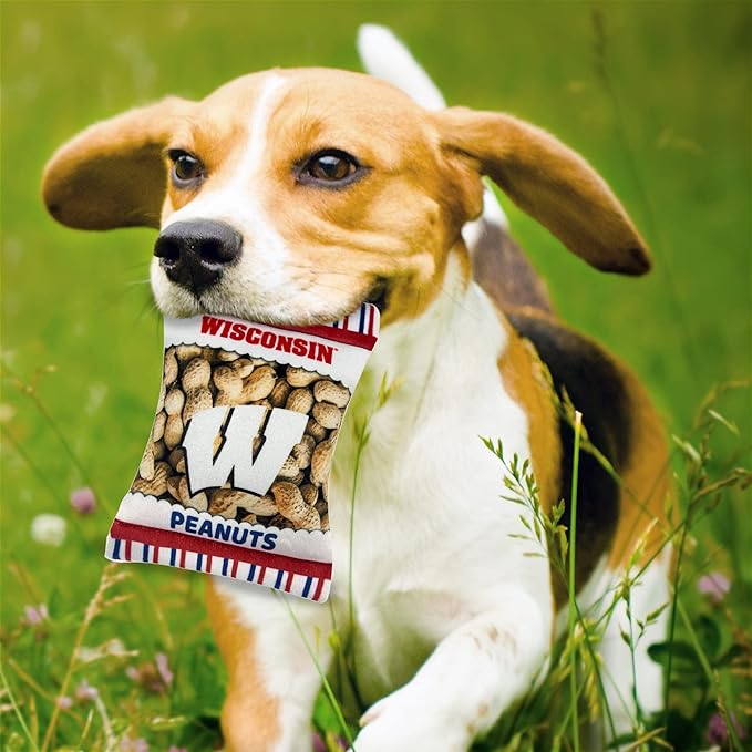 NCAA Wisconsin Badgers Crinkle FINE Plush Dog & CAT Squeak Toy- Cutest Stadium Peanuts Snack Toy for Dogs & Cats with Inner Squeaker & Beautiful Football/Basketball Team Name/Logo