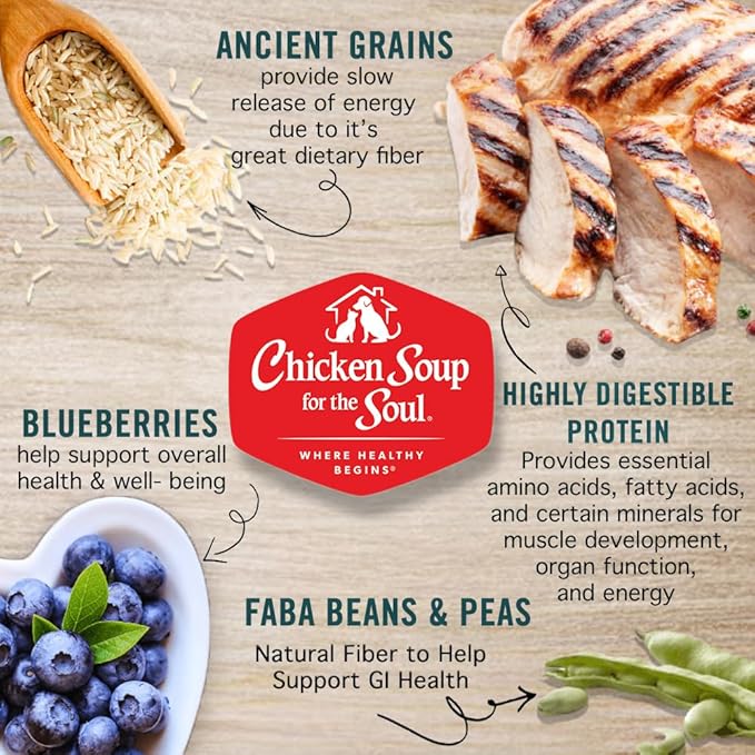 Chicken Soup for the Soul All Natural Premium Senior/Mature Dry Dog Food, Real Meat First Ingredient, No By-Products, Supports Joint Health and Mobility, Chicken, Turkey & Brown Rice, 13.5lb