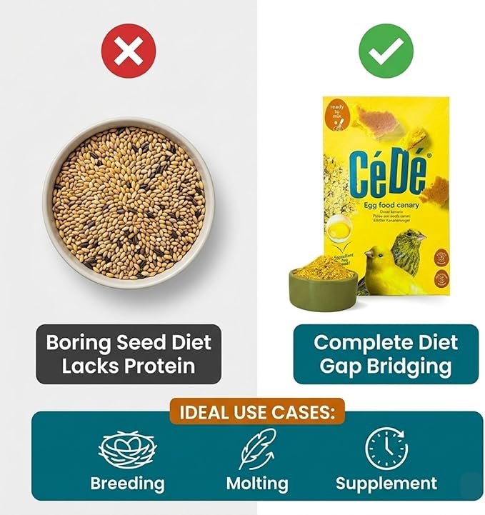 2pcs CeDe Egg Food for Canaries and Finches 1kg – Ready-to-Use Food Bird Feed for Breeding, Molting and Daily Conditioning, Soft Egg-Based Feed in Sealed Freshness Box