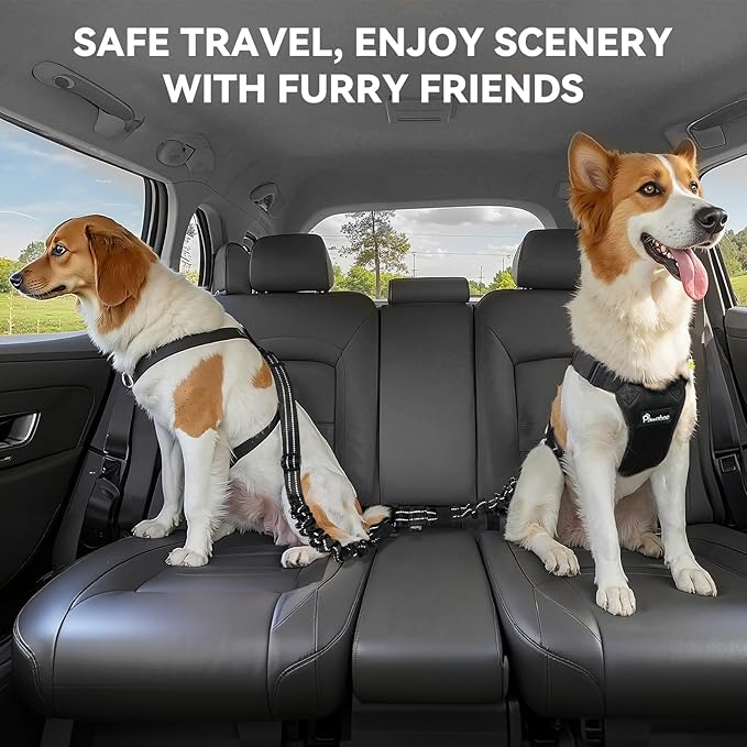 Pawaboo 2Pack Dog Seatbelt for Car,3-in-1 Dog Car Seat Belt Bungee,Shockproof Dogs Tether for Cars with Buckle&Hook Latch, Adjustable Reflective Dogs Cars Harness Leash with 360° Lockable Buckle,Black