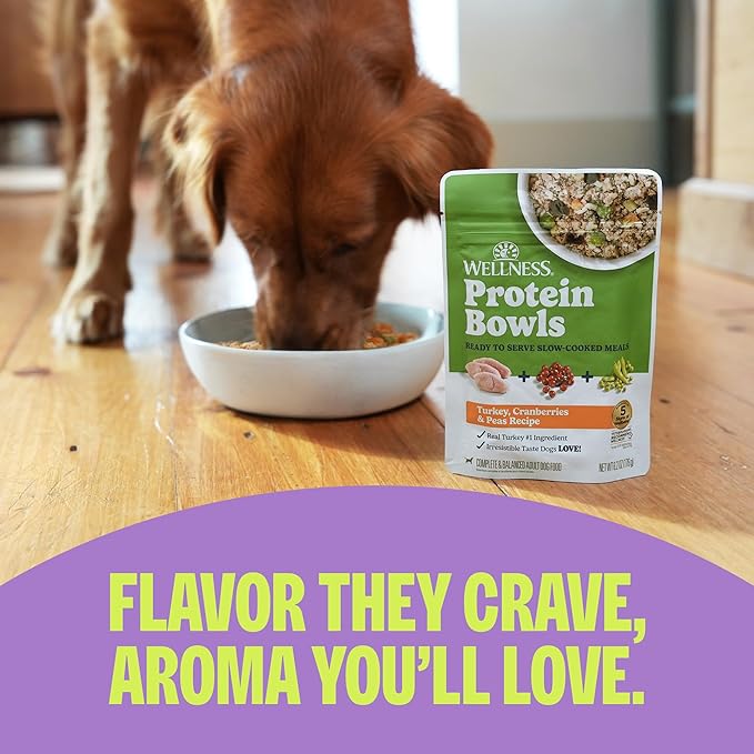 Wellness Protein Bowls, Adult Wet Dog Food, Wholesome Grains, 6.2 Ounce Pouch, 6 Pack, (Duck, Sweet Potato & Cranberries Recipe)
