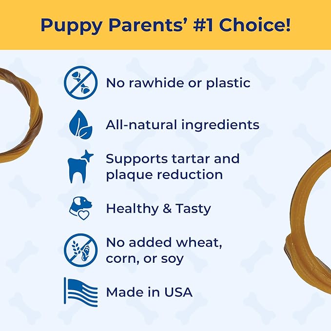 N-Bone Puppy Teething Rings Taste of Texas Queso Con Carne Flavor 3 Count (Pack of 2)