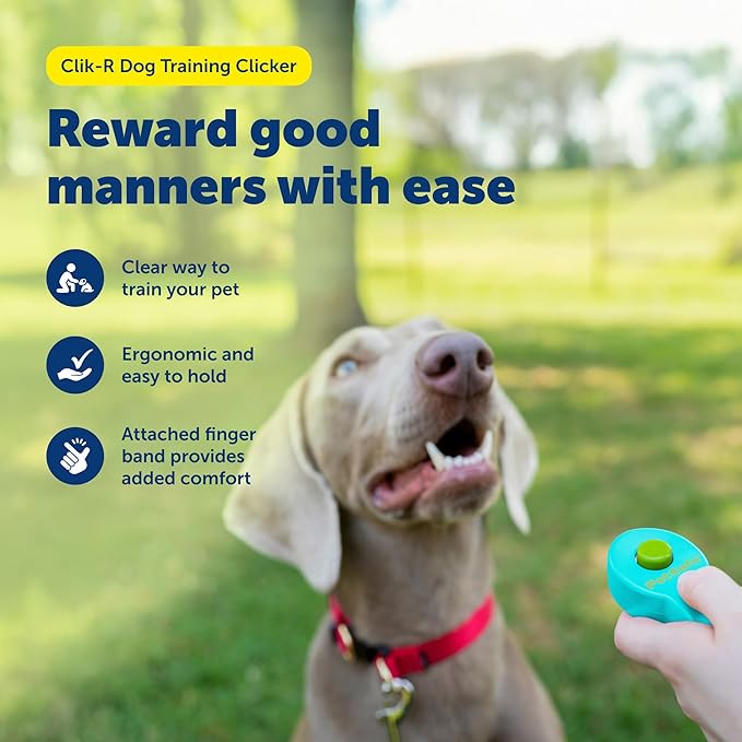 PetSafe Clik-R Training Tool for Pets - Includes Comfortable Finger Strap - Easy to Hold - Train Your Dog to Reward Good Behavior