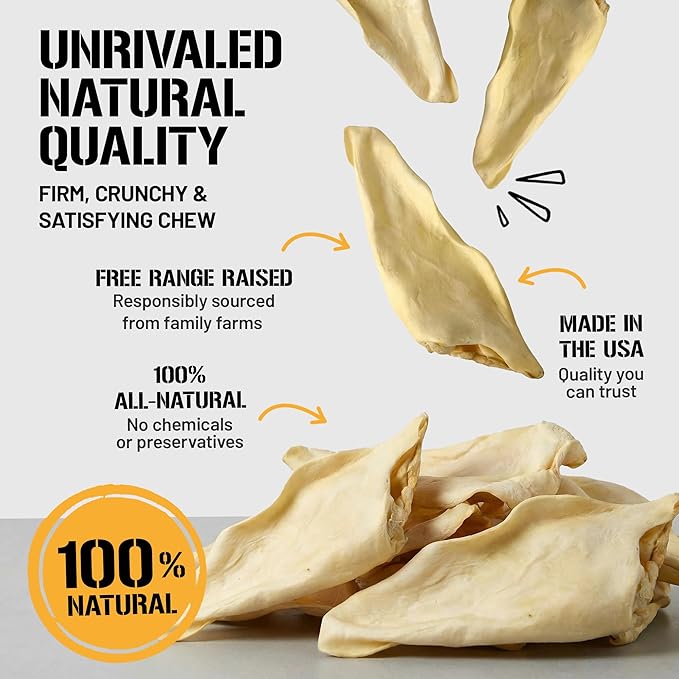 Dog Chits Cow Ears for Dogs – All Natural Cow Ear Dog Treats & Training Chews – High Protein, Low Fat – Thick Cut, Half Ears – Dental Clean Crunch – Ideal for Medium & Large Dogs – Large, 10 Pk