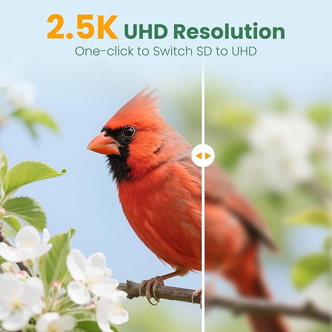 Smart Bird Feeder Camera with Solar Panel (Bamboo), 2.5K UHD AI Identification, Real-time Videos & Pictures, Wireless Solar Powered Outdoor, Ideal Garden Decor & Bird Watcher, Gift for Dad