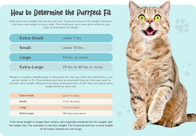 Cat-in-the-Bag Cozy Comfort Carrier - Large Charcoal Cat Carrier Soft and Pet Carrier for Nail Clipping, Vet Visits, Medication Administration, Dental Care, and Traveling