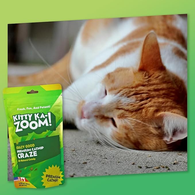 Catnip Craze 2-Pack | Catnip Mix | Hand Harvested Fresh Catnip Grown in Canada and The USA | High Potency Blend for Engaging Play