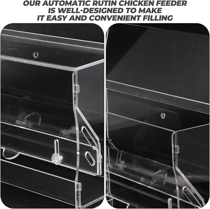 Abaodam Rutin Chicken Automatic Feeder Acrylic Medium Chicken Feeding Bowl Food Box for Parrot Cockatiel Bird Cage Use