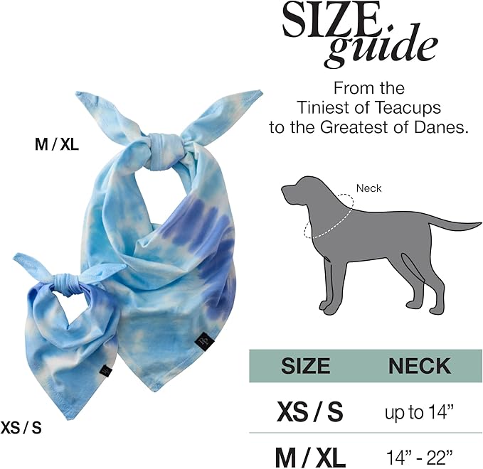 Pet Passion Bandit - THE PET Bandana 100% Organic Cotton Pet Bandanas Clothes for Small, Medium, Large Dogs, Blue Tie Dye, Extra Small/Small