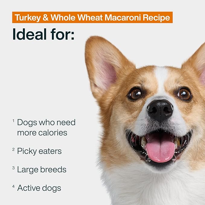 JustFoodForDogs Frozen Fresh Dog Food Toppers and Meals, Human Grade, Balanced Fresh Pet Meal or Topper, No Preservatives, Limited Ingredient Recipe, Turkey & Whole Wheat Macaroni 18 oz - 7 Pack