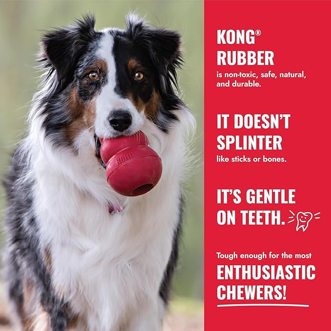 KONG Donut Dog Toy – Durable Natural Rubber Chew & Fetch Toy – Promotes Healthy Teeth & Gums, Fun Bounce & Roll, Gentle on Mouth (Large/X-Large)