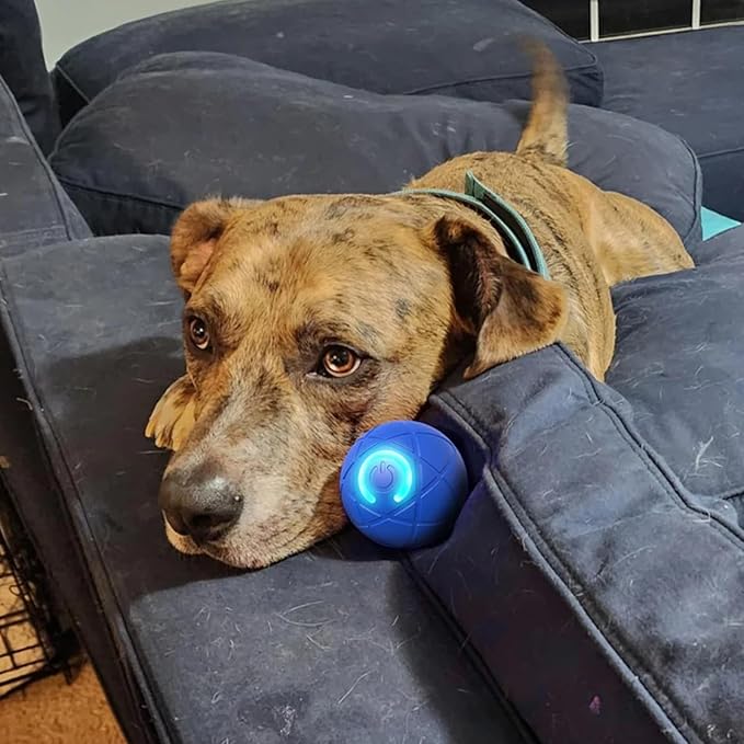 Viral Shaky Ball for Dogs, Smart Interactive Dog Toy Ball, Smart Jumping Automatic Moving Bouncing and Rotating Balls, Electric Vibrating & Rolling for Large/Small Dogs and Cats