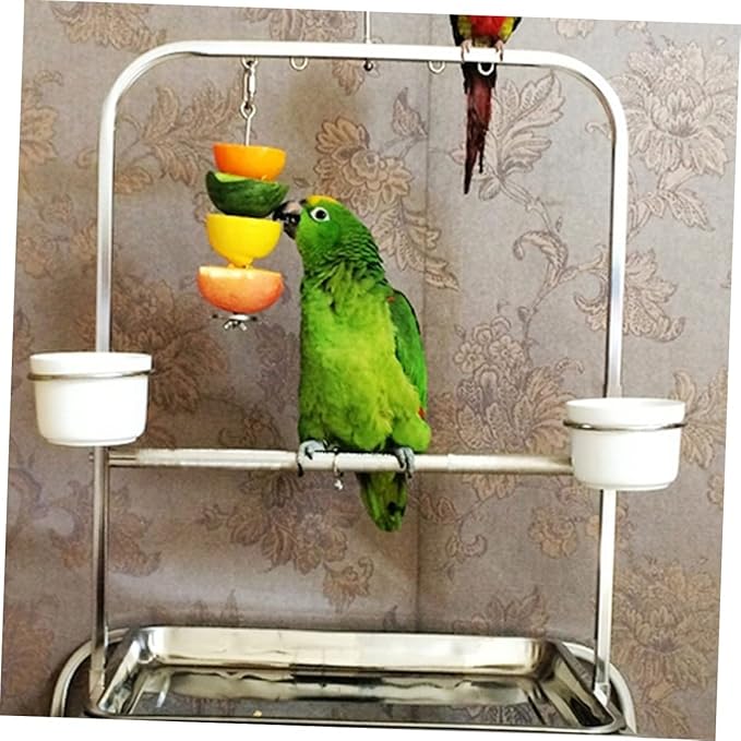 COLLBATH Parrot Vegetable Holder Skewer Foraging Toy Small Animal Treating Tool for Bird Cages and Small Animal