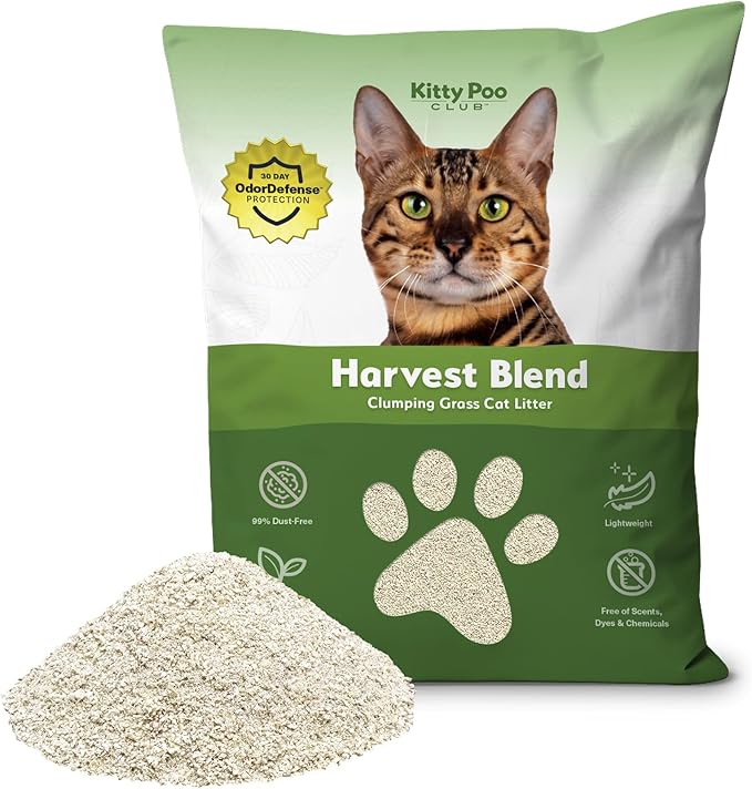 Kitty Poo Club Grass Cat Litter – Natural, Biodegradable Grass-Based Litter for Cats, Lightweight, Dust-Free, Superior Odor Control, Fast-Clumping Formula