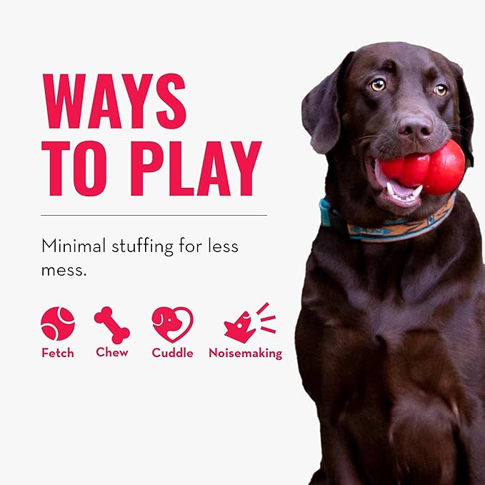 KONG Wild Knots Bears - Durable Dog Toys with Internal Knotted Ropes and Minimal Stuffing for Less Mess (Assorted Colors) (X Large)