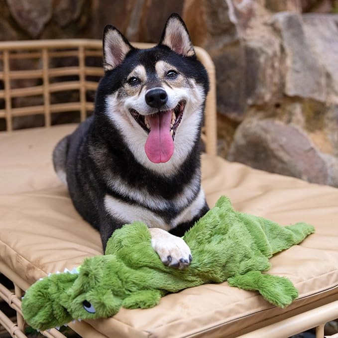Best Pet Supplies Squeaky Dog Toys with Soft Durable Fabric for Small, Medium and Large Pets Interactive Toy for Indoor Play, Supports Active Biting and Play - 1Wild Duck, Alligator, Medium